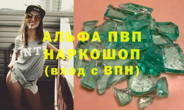 шишки Каменногорск