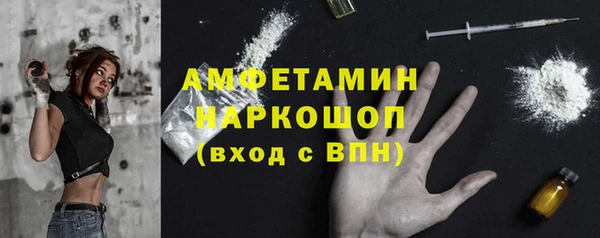шишки Каменногорск