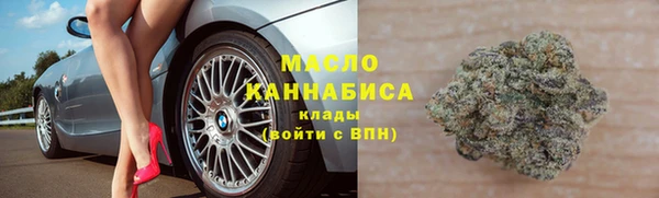 шишки Каменногорск