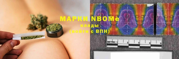 шишки Каменногорск