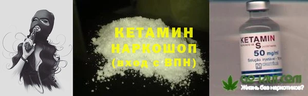 шишки Каменногорск