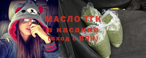 шишки Каменногорск
