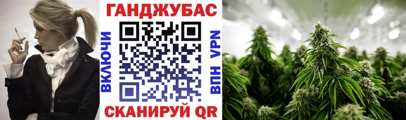 Купить где  Славгород  Бошки марихуана индика 
